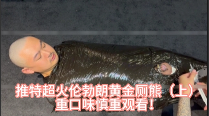推特超火伦勃朗黄金厕熊（上/3）