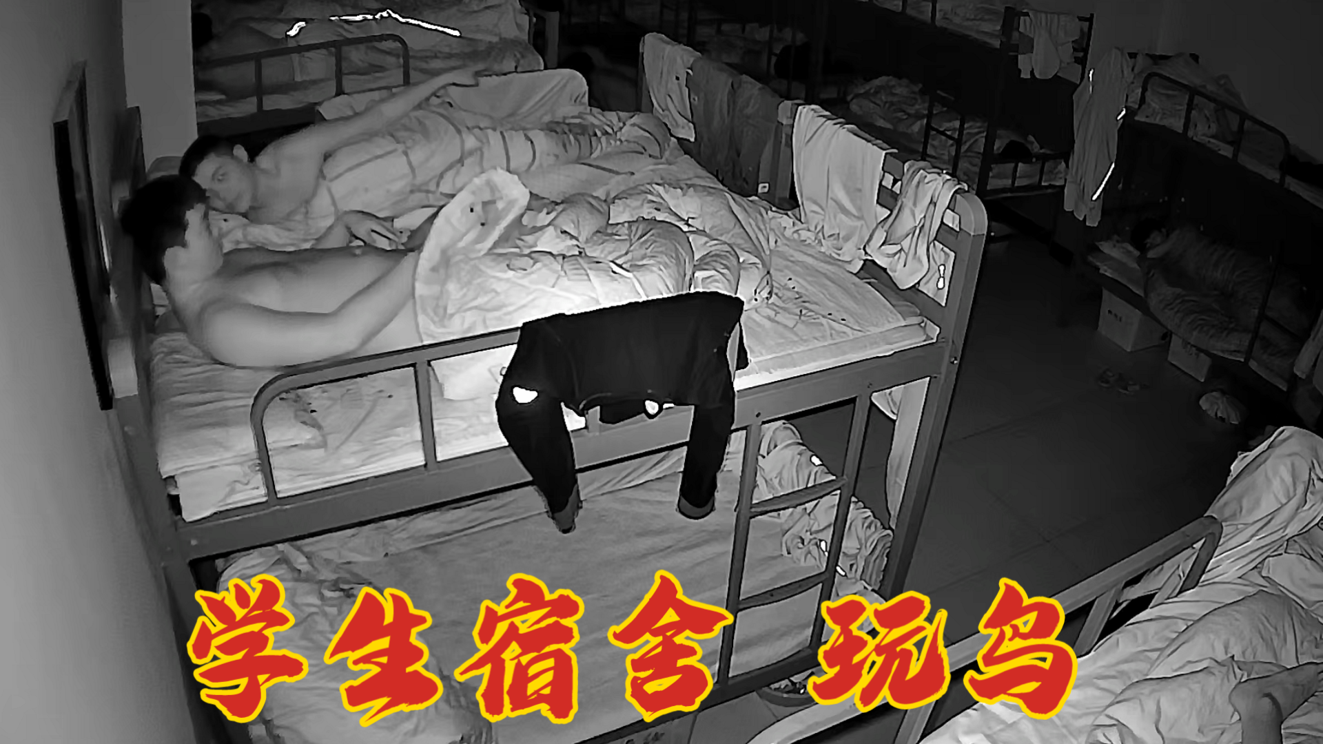 学生宿舍玩鸟